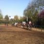 Riouw-Rijschool Manege