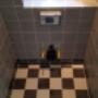 toilet renovatie