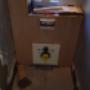 toilet renovatie