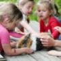 Kinderdagverblijf Joepie
