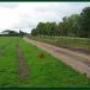 Lansink Wegenbouw BV