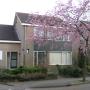 Praktijk voor Fysiotherapie en Acupunctuur J M J Hollander-Smeenk