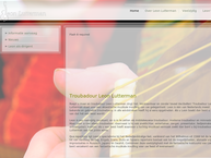 Troubadourservice