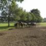 Geel-Schröder BV Sporthorses Van