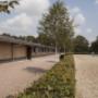 Geel-Schröder BV Sporthorses Van