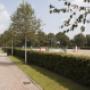 Geel-Schröder BV Sporthorses Van
