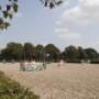 Geel-Schröder BV Sporthorses Van