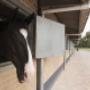 Geel-Schröder BV Sporthorses Van