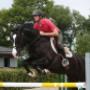 Geel-Schröder BV Sporthorses Van