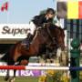 Geel-Schröder BV Sporthorses Van