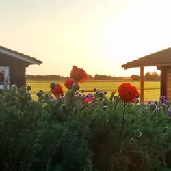 Camping Vorrelveen