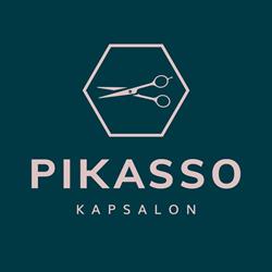 Kapsalon Pikasso