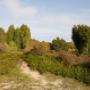 Camping Zonnekamp