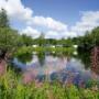 Camping Zonnekamp