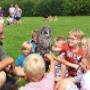 Camping Zonnekamp