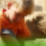 Camping Hondsrug De