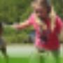 Camping Hondsrug De