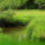 Camping Hondsrug De
