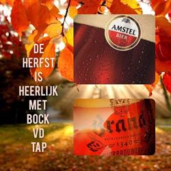 De Wildeman - Santpoort