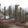 Hoveniersbedrijf Bloemin
