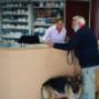 Dierenartsenpraktijk Reduzum-Grou