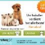 Dierenartsenpraktijk Wenters
