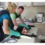 Dierenartsenpraktijk Groesbeek en Omstreken