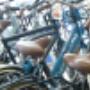 Martin Jeuring 2 Wielers