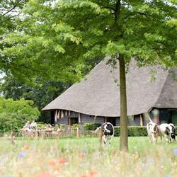 Vergaderlocatie Landgoed de Hoevens