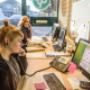 Chat, bel of e-mail met ons