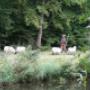 Dierenartspraktijk Onstwedde