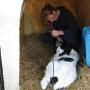 Leijdal Dierenartsenpraktijk 't