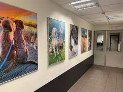 Dierenartsenpraktijk Vorstenbosch