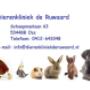 Dierenkliniek De Ruwaard