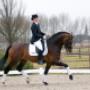 Paardenpraktijk De Kroon