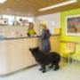 Dierenkliniek Dikketje DAP