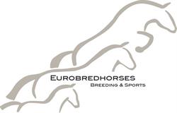 EuroBred Horses