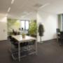 Ree Accountants van