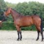 Paardenkliniek De Watermolen BV