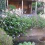 Pilon Bloem- en Hovenierswerken R