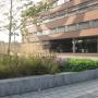 Pilon Bloem- en Hovenierswerken R