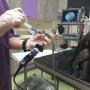 Dierenkliniek Dierzorg