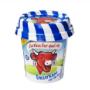 Royal Bel Leerdammer BV