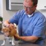 Dierenkliniek Spijkenisse
