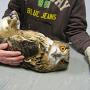 Dierenkliniek Delfland