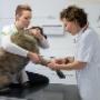 Kralingen Dierenkliniek