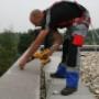 Levering montage duivenpinnen
