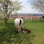 Zorgboerderij John en Marga van der Wijst