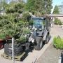 Visser Plant Boomkwekerij