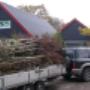 Visser Plant Boomkwekerij